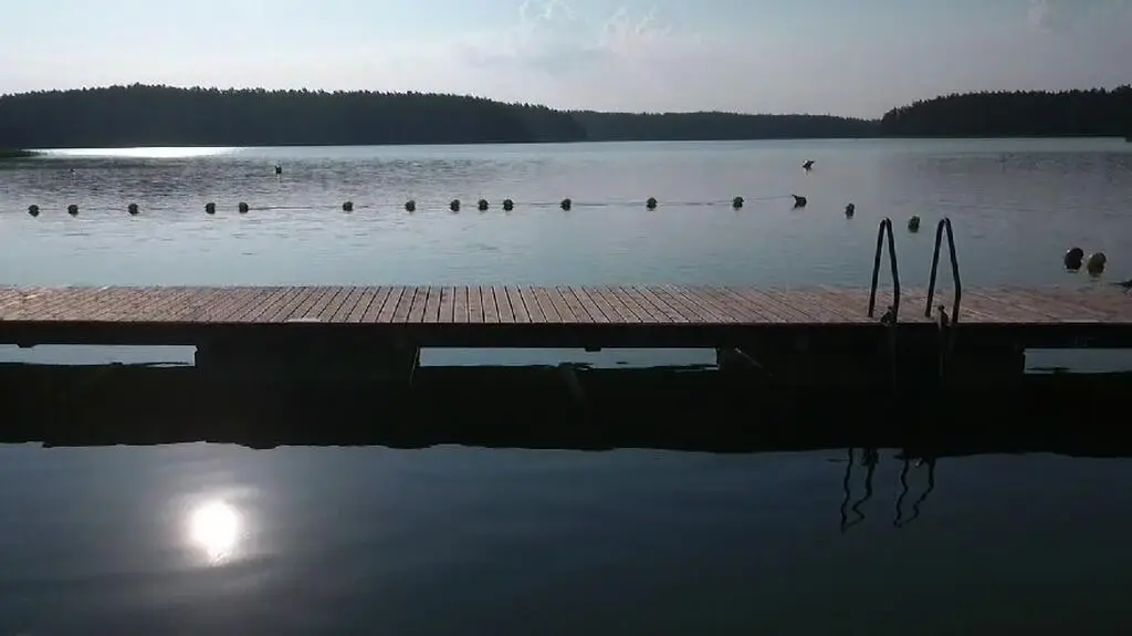 Świadek o poszukiwaniu chłopca