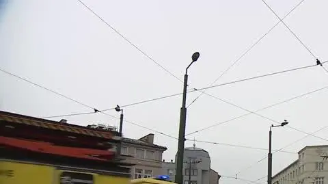 krolak