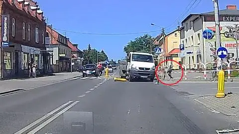 Potrącenie pieszego w Strzelcach Opolskich