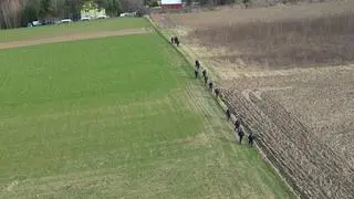 Poszukiwania nastolatki