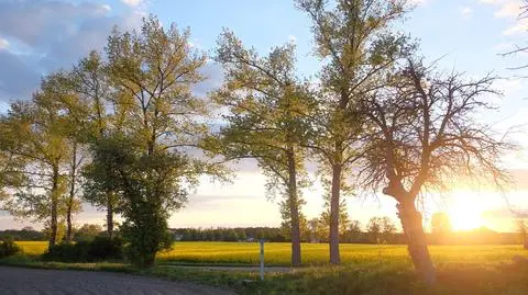 W piątek śnieg w górach, a od niedzieli napływ afrykańskiego powietrza. Aż 28 stopni Celsjusza