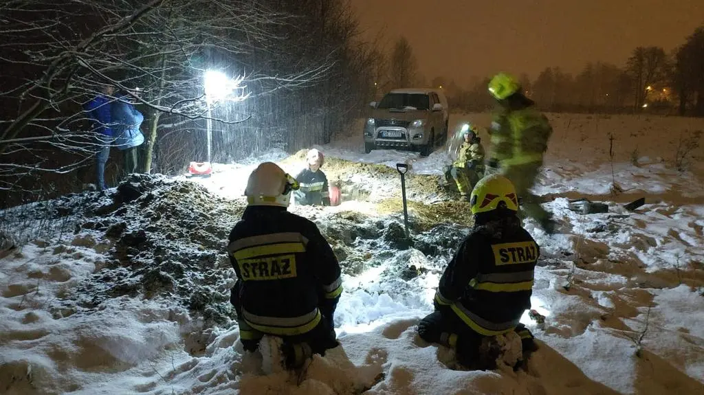 Figa jest cała i zdrowa