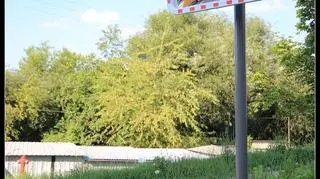Ulica Kowalska