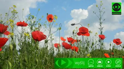 Przyszło lato. Jak Was przywitało?