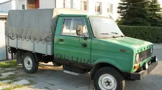 Tarpan 239