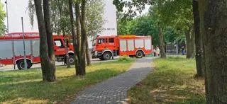 Na miejscu interweniowali strażacy
