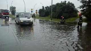 Strażacy udrożniają ul