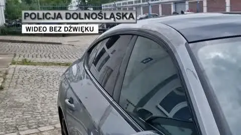 policja