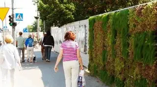 Ściany będą zdobić budnek Infoboxu 