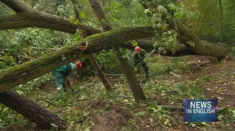Poland suffered from gale-force winds that swept through the country