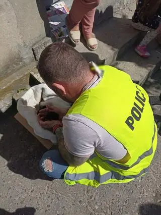 Zawinęła szczeniaki w koc i wyrzuciła je w reklamówce koło rzeki