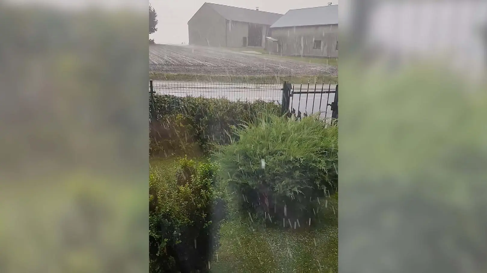 Ulicą płynęła woda, w ogródku zrobiło się biało. Nagranie