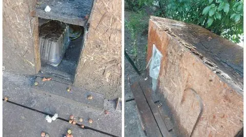 Ktoś zniszczył budki dla kotów w Toruniu