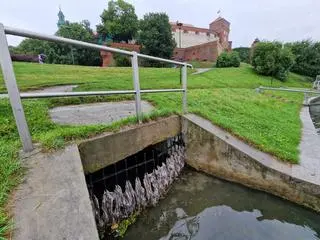 Zrzut ścieków pod Wawelem