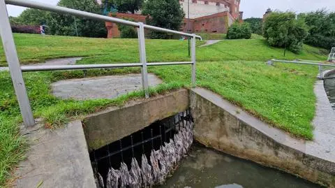 Zrzut ścieków pod Wawelem