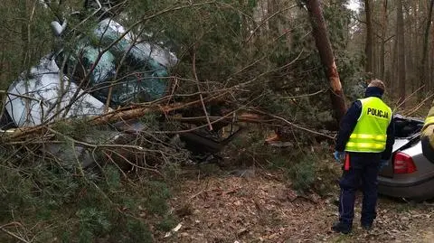 Uderzył w drzewo, auto rozpadło się na dwie części. "To cud, że ten człowiek to przeżył" 