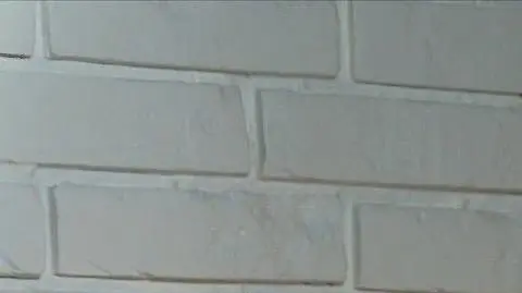 Jak możemy wesprzeć osoby starsze?