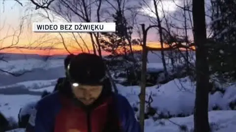 piesek