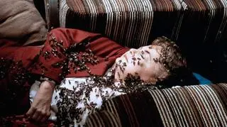 Jedną z ostatnich ról w kinie aktorka zagrała w filmie "Rój"