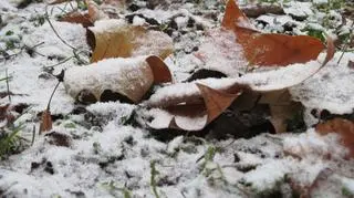 Śniegu niewiele, ale zawsze coś