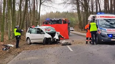 Nie miał prawa jazdy, zjechał z drogi i uderzył w drzewo. 29-latek nie żyje, jego żona jest ranna
