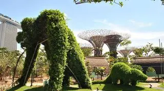 Gardens by the Bay