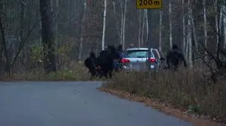 Reportaż Anny Borkowskiej-Minko, Patryka Szczepaniaka i Piotra Czabana "Szlak migracyjny Turcja - Białoruś - Polska"