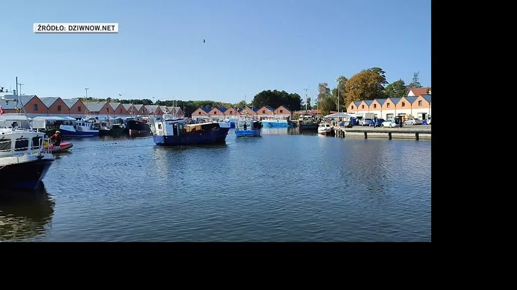 skuter
