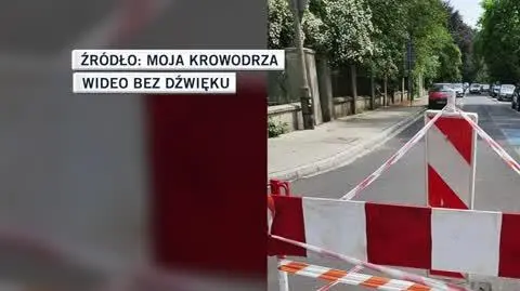 MOJA KROWODRZA