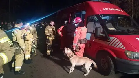 85-letni grzybiarz odłączył się od grupy. Nocą szukała go setka strażaków i policjantów