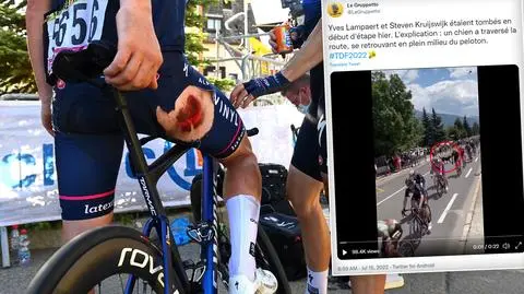 "Zostawiajcie swoje psy w domach". Apel kolarza po nieprzyjemnym incydencie