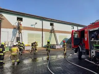Pożar hali z suszem roślinnym w Koperni (woj. świętokrzyskie)