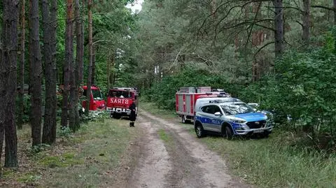 74 policjantów i strażaków szukało grzybiarza. Gdy służby przeczesywały las, zaginiony wrócił do domu 