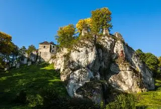 Zamek w Ojcowie