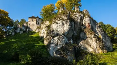 Zamek w Ojcowie
