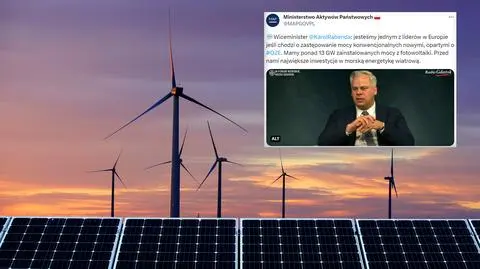 Wiceminister o OZE: "Jesteśmy jednym z liderów w Europie"