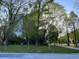 Pomnik księdza wkomponowany jest w zieleń skweru 