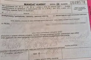 Kierowca dostał mandat w wysokości półtora tysiąca złotych