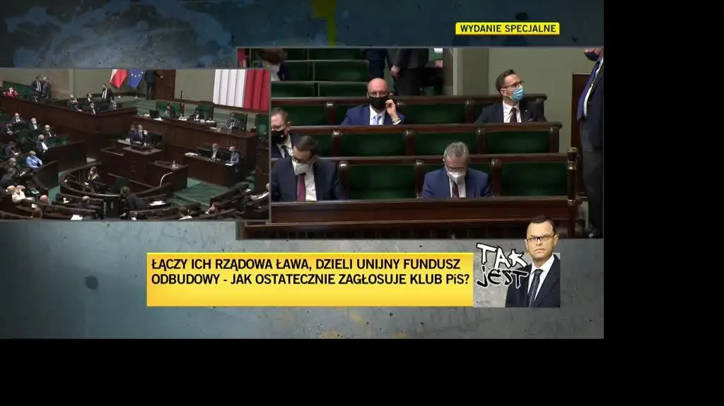 sosnierz stary