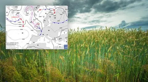Mglisto i burzowo o poranku, w dzień czeka nas letnia aura