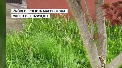 Policja Małopolska