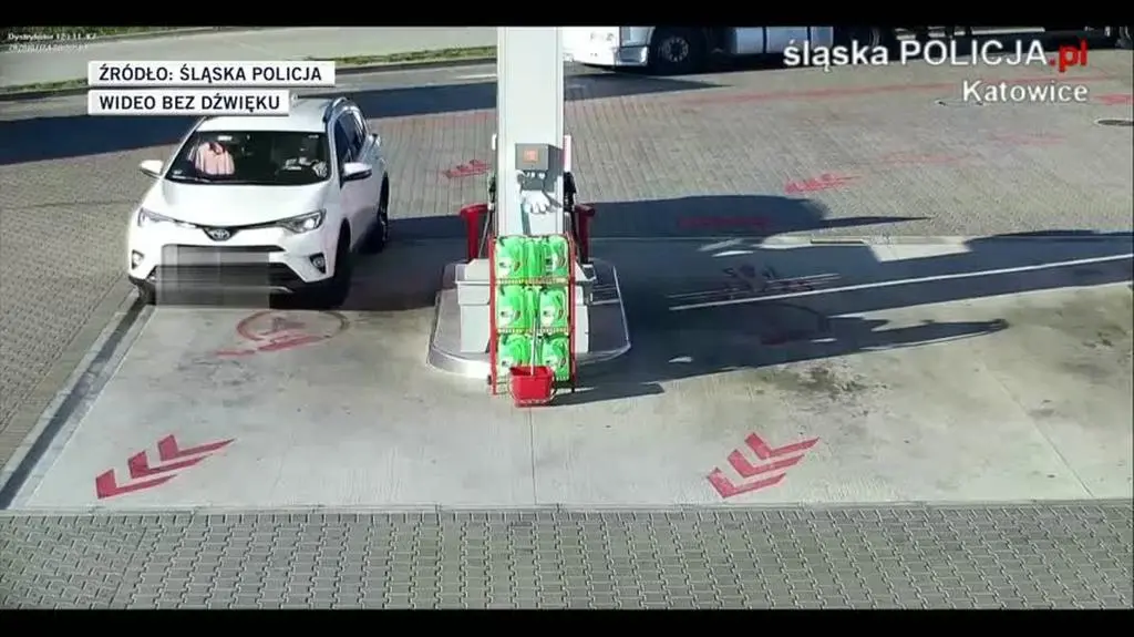 gang zlodziei aut 2