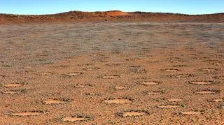Tajemnicze kręgi w Namibii