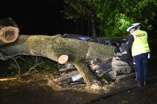 Kierowca sam się wydostał z pojazdu
