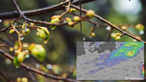 Koniec kwietniowego lata. Ochłodzenie będzie duże