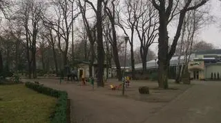 Na terenie zoo znajduje się też plac zabaw
