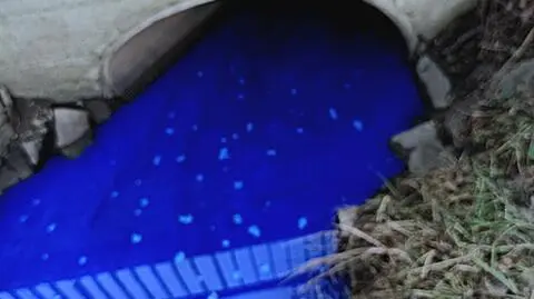 20230220 002 blue
