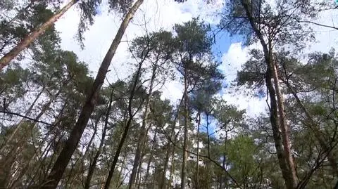 2704N360XRR PIS DNZ ZALEWSKI