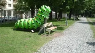 Owady giganty w Starym Browarze