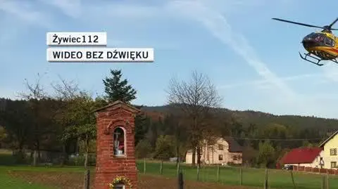 Żywiec dla Gosi